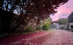 Evergreen Guesthouse